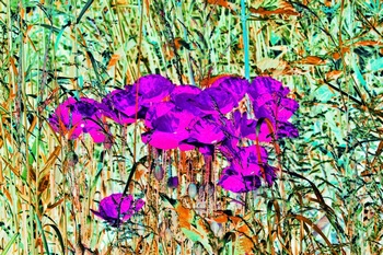 F 024D